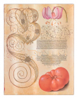 Paperblanks - Zápisník Paperblanks Lily & Tomato Flexis ultra nelinkovaný 9347-3